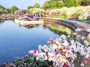 Parque de flores de Ashikaga (あしかがフラワーパーク)