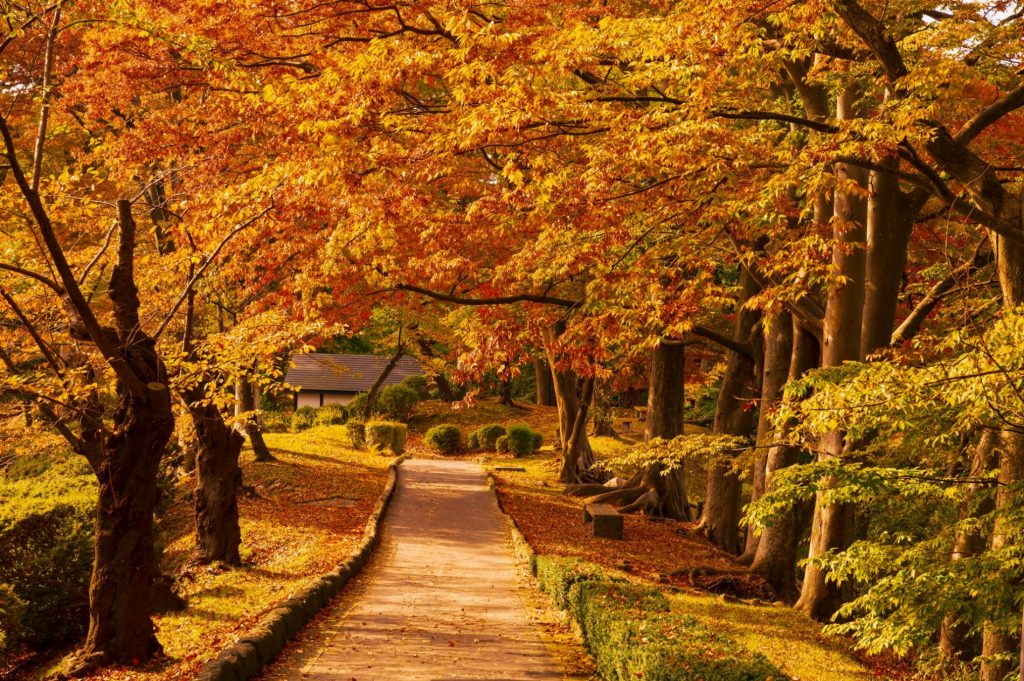 Parque Senshū (千秋公園)