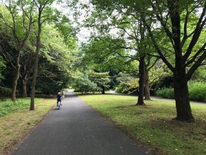 Parque Showa Kinen (国営昭和記念公園)