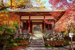 Templo Jōjakkōji (常寂光寺)