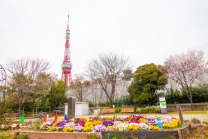 Parque Shiba (芝公園)
