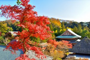 Templo Kenchō-ji (建長寺)
