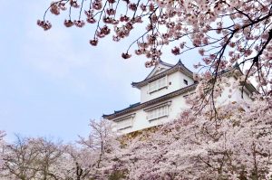 Castillo de Tsuyama (津山城)