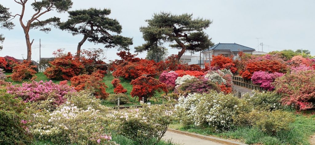 Parque Tsutsujigaoka (つつじが岡公園)