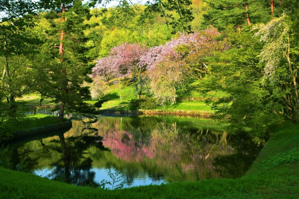 Parque Yukyuzan (悠久山公園)