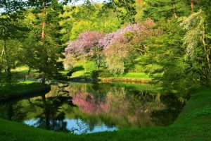 Parque Yukyuzan (悠久山公園)