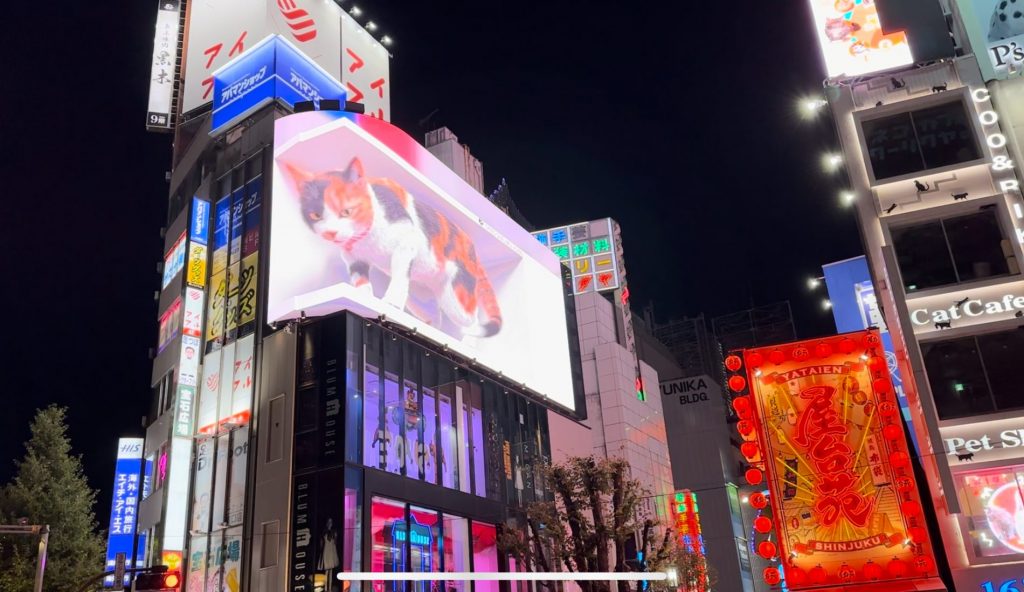 3D cat Cross Shinjuku Space (クロス新宿スペース)