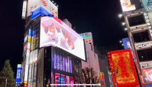 3D cat Cross Shinjuku Space (クロス新宿スペース)