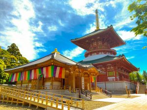 Templo Naritasan Shinshō-ji (成田山 新勝寺)