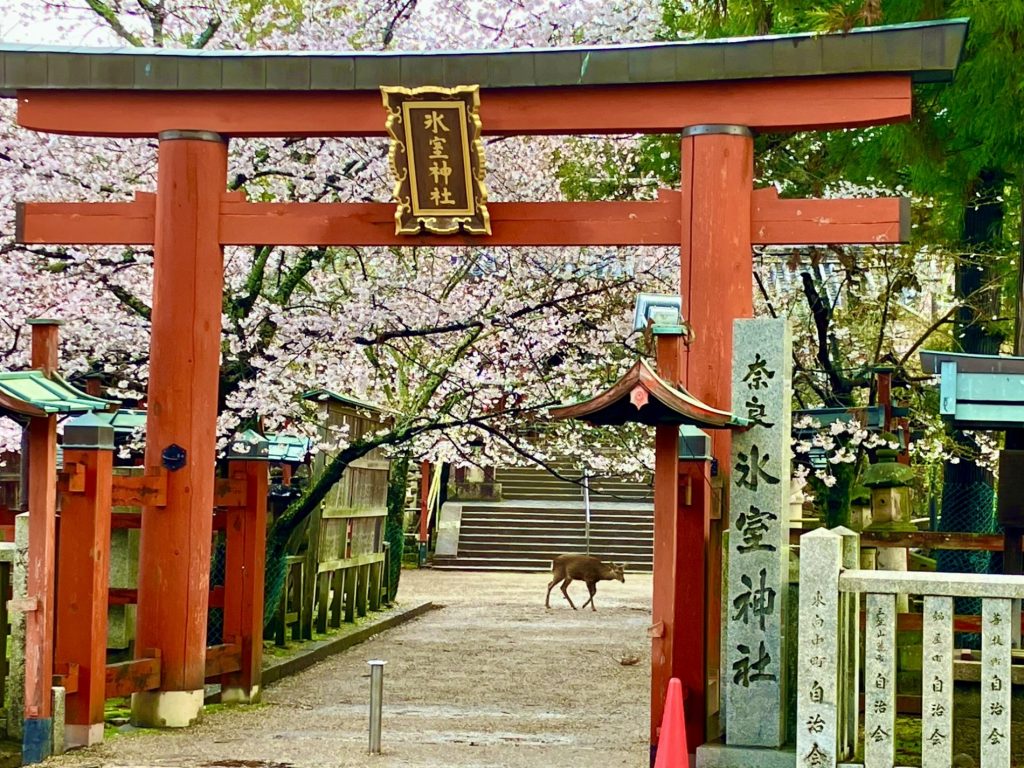 Santuario Himuro Jinja (氷室神社)