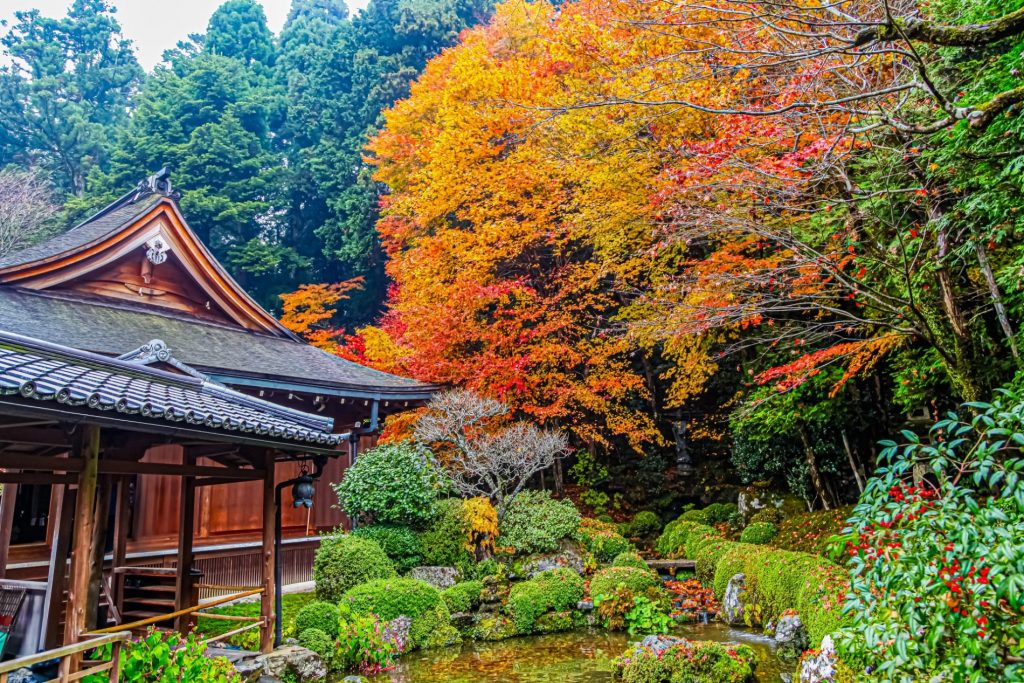 Templo Jakkō-in (寂光院)