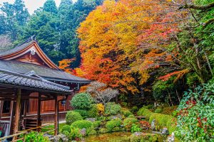 Templo Jakkō-in (寂光院)