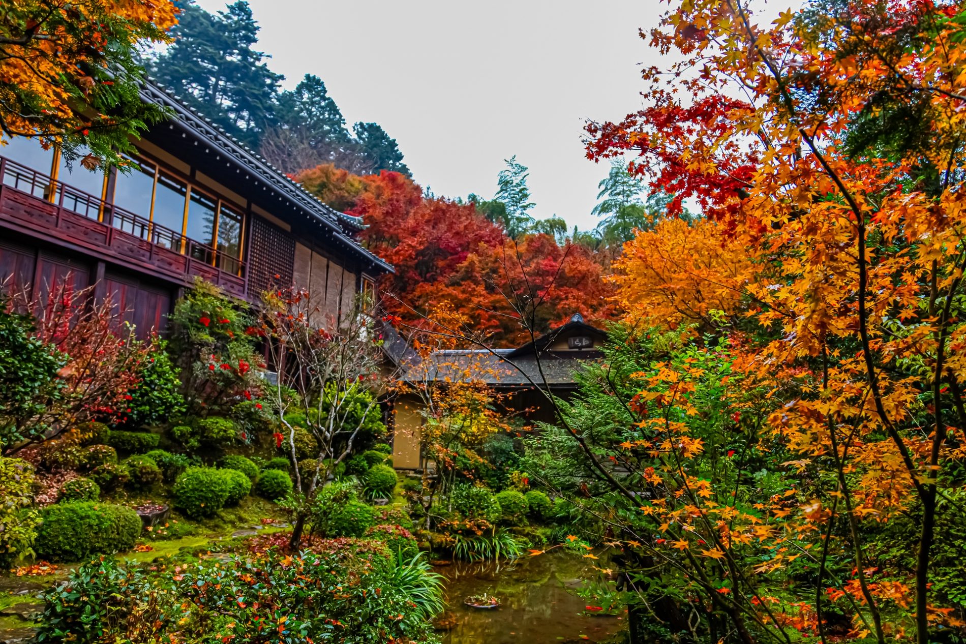 Imagen Templo Jakkō-in (寂光院)