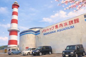 Acuario Wakkanai (稚内市立ノシャップ寒流水族館)
