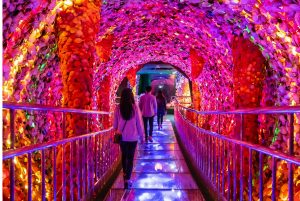 Museo de Fantasia de Takeshima (竹島ファンタジー館)